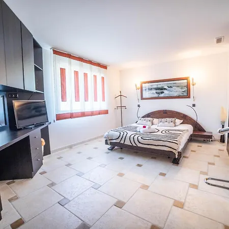 Luxury -villa De Prestige Avec Piscine - Jacuzzi-famille-table De Billard - Salle De Sport - Tram à 5 Min Villa *