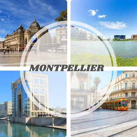 Luxury -villa De Prestige Avec Piscine - Jacuzzi-famille-table De Billard - Salle De Sport - Tram à 5 Min *