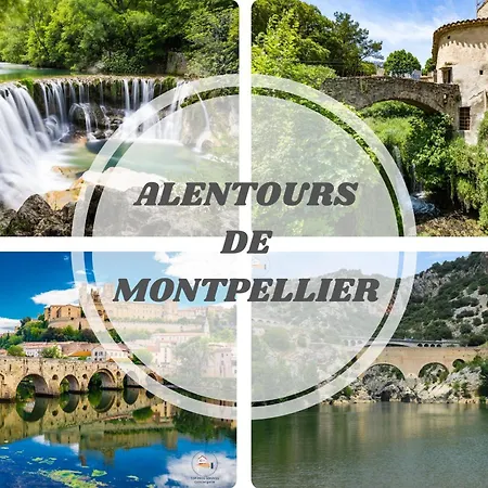Luxury -villa-piscine-jacuzzi-famille-table De Billard - Pros Servicesconciergerie Montferrier-sur-Lez