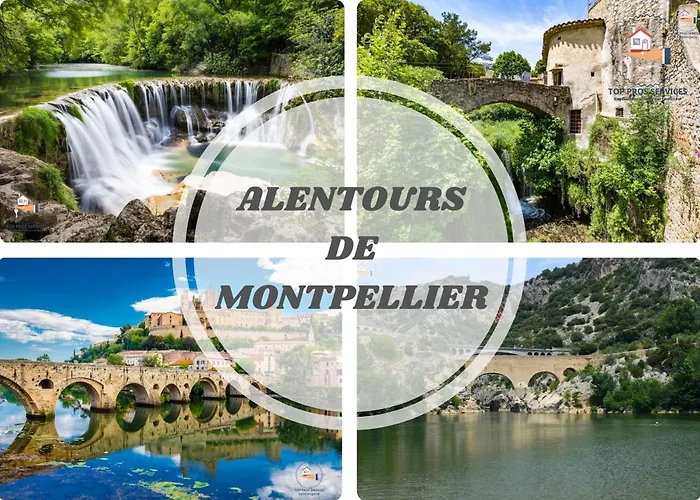 Luxury -villa-piscine-jacuzzi-famille-table De Billard - Pros Servicesconciergerie Montferrier-sur-Lez